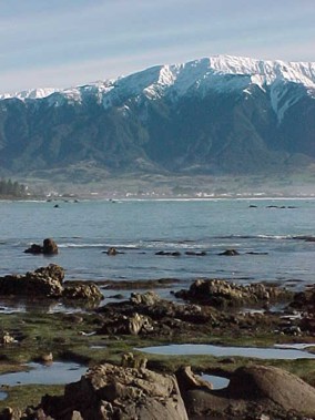 [Kaikoura by the sea]