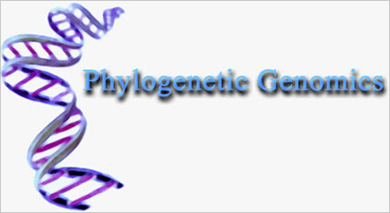 Phylogenetic Genomics