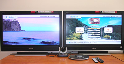 LifeSize system