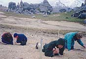 students on a field trip