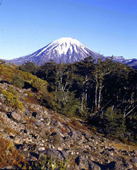 Mt. Ngauruhoe