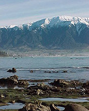 [Kaikoura by the sea]