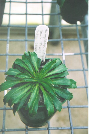 Click to view fullsize picture